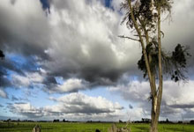 2024欧洲杯为何选择比亚迪作为官方合作伙伴？