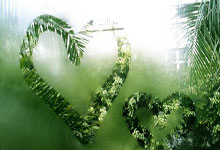 德甲杜塞多夫对阵波鸿，谁能在这场较量中占得先机？