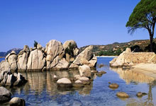 美金杯比分怎么看？最新赛况与解读全在这里